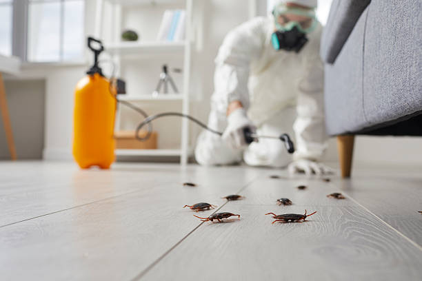 Commercial Kitchen Cockroach Control in Wyomissing